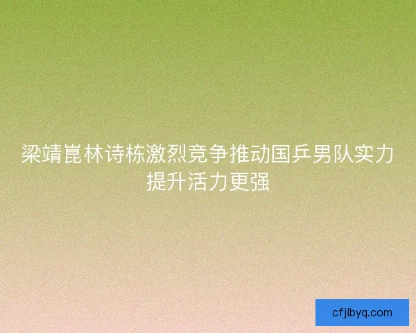 梁靖崑林诗栋激烈竞争推动国乒男队实力提升活力更强